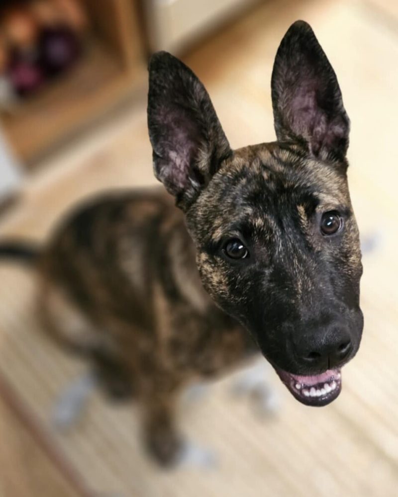 Rhia looking up at the camera