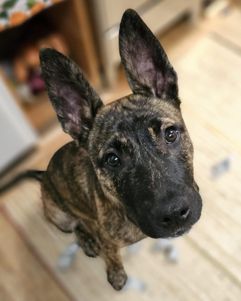 Rhia looking up at the camera